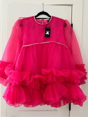 Xpluswear Hot Pink Ruffled Tulle mini dress